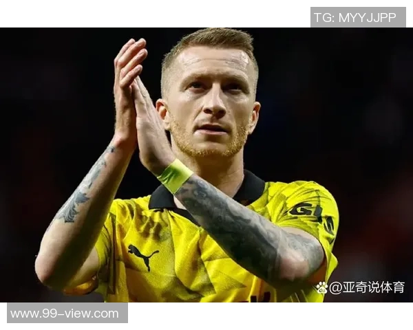 高清罗伊斯足球明星头像欣赏与背景故事分享